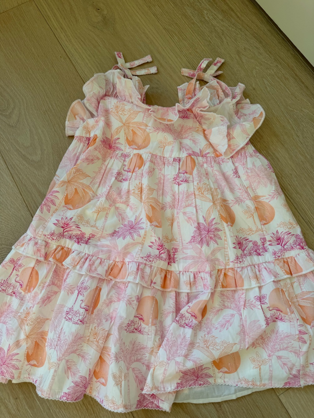 Janie and Jack Pink and Orange Floral Ruffle Dress